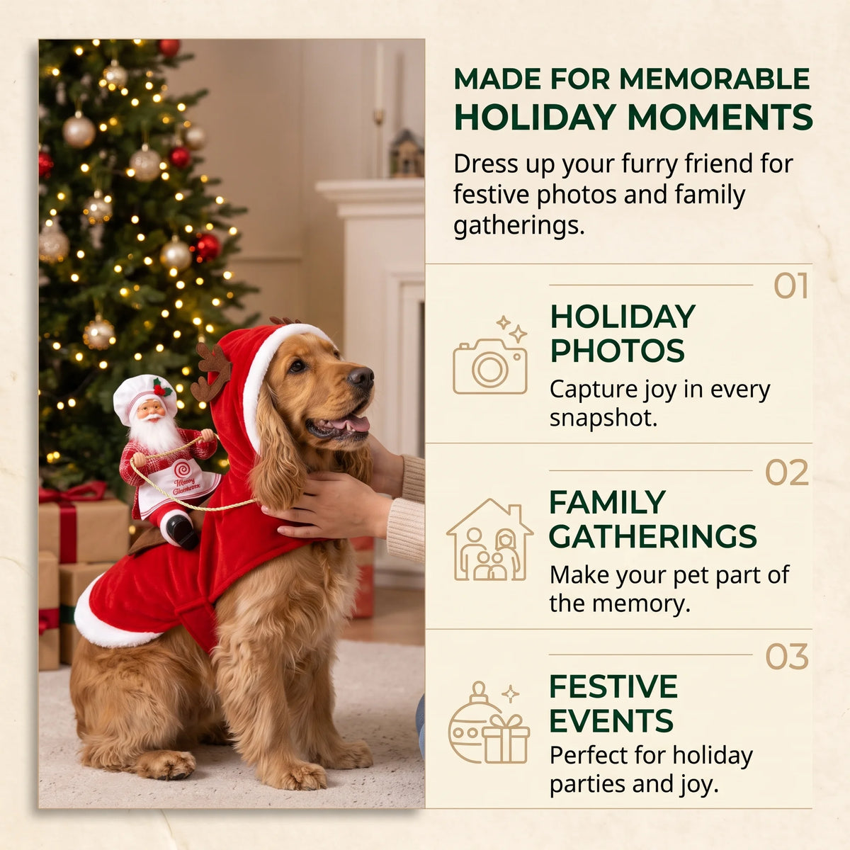 Santa Rider Costume for Dogs