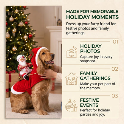 Santa Rider Costume for Dogs
