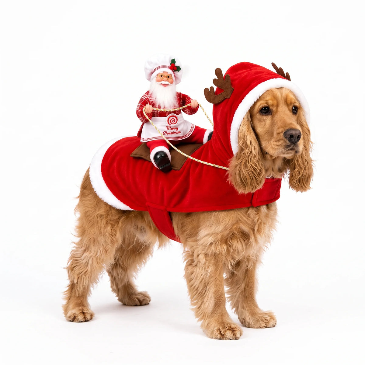 Santa Rider Costume for Dogs