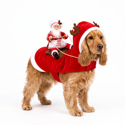 Santa Rider Costume for Dogs