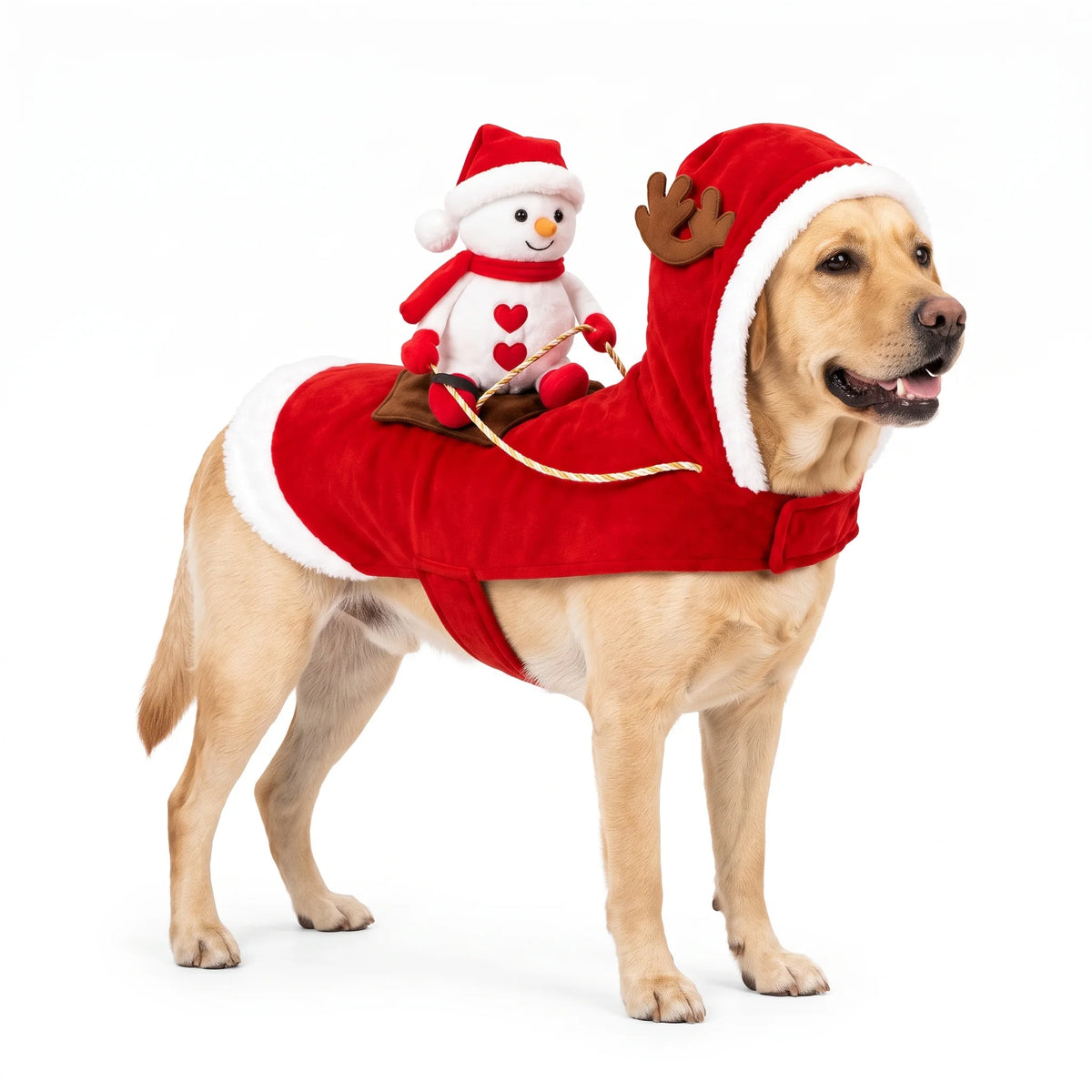 Santa Rider Costume for Dogs
