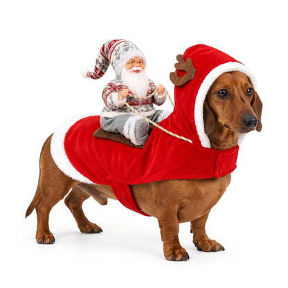 Santa Rider Costume for Dogs