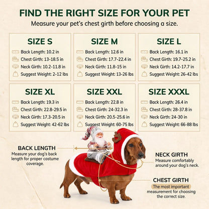 Santa Rider Costume for Dogs