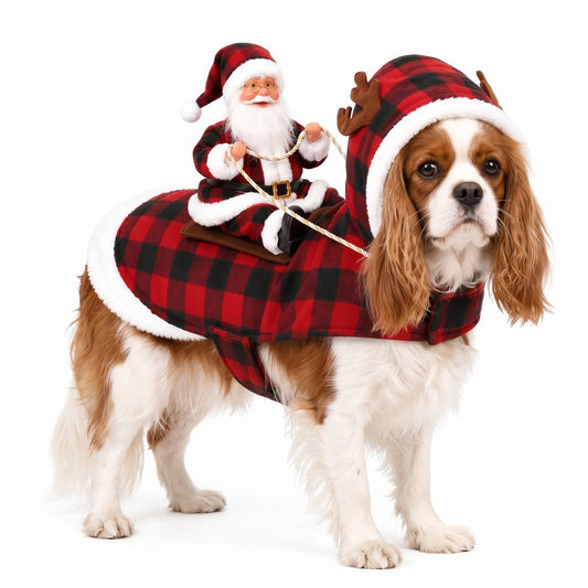 Santa Rider Costume for Dogs