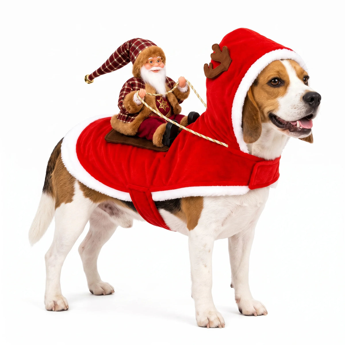 Santa Rider Costume for Dogs