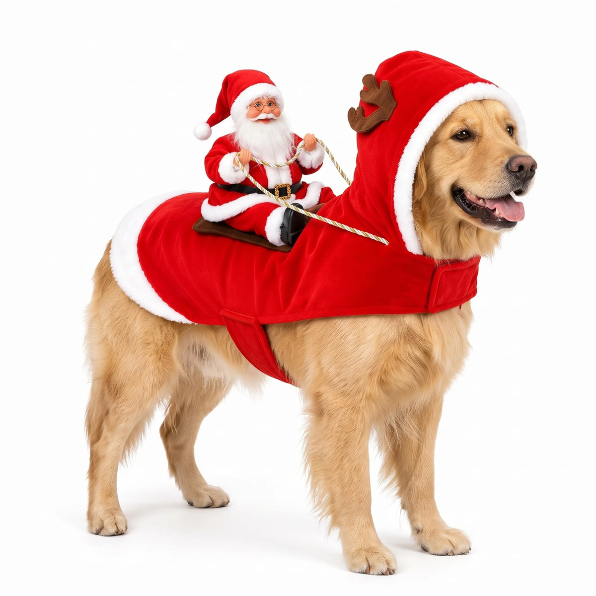 Santa Rider Costume for Dogs
